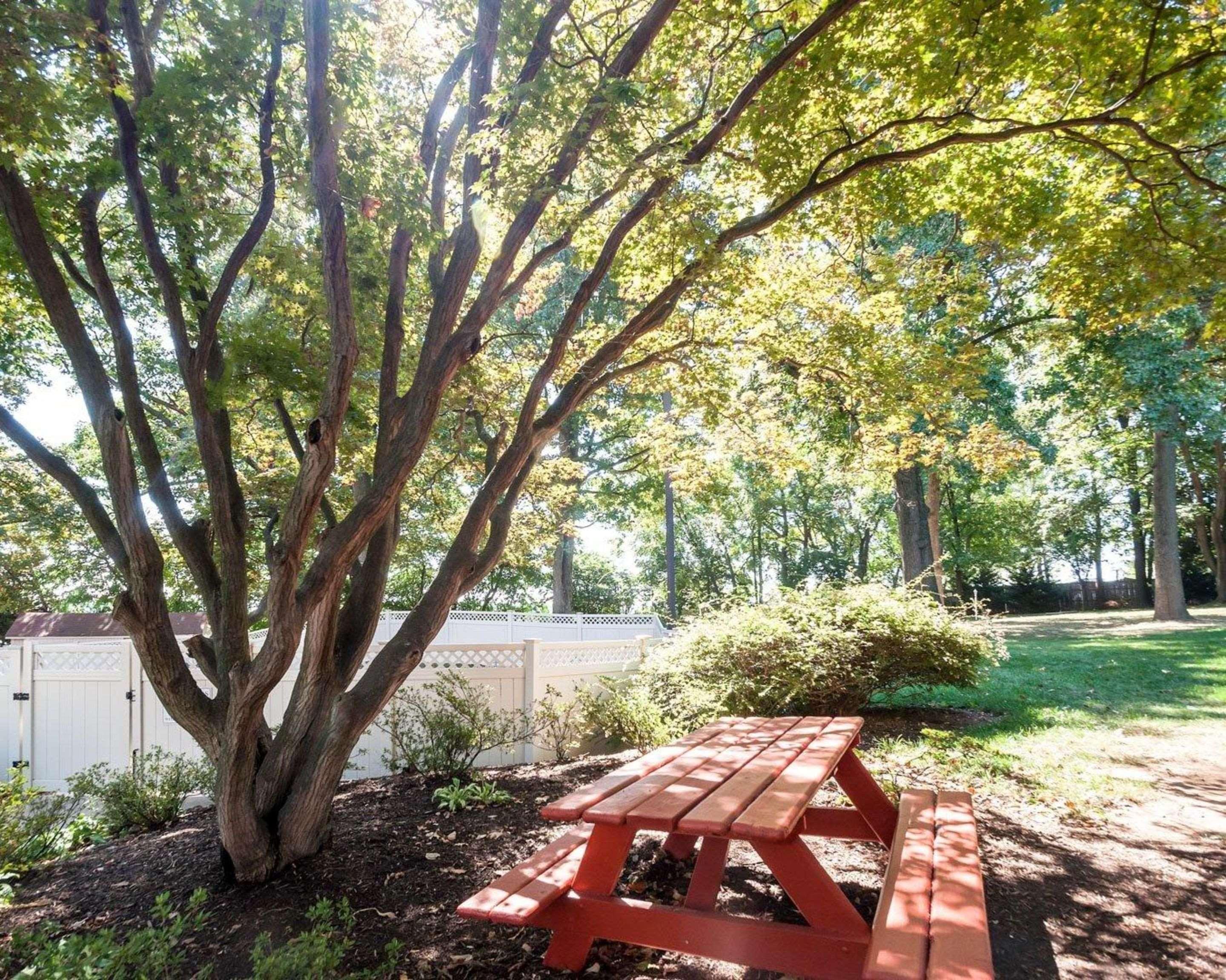 Comfort Inn Shady Grove - Gaithersburg - Rockville Bagian luar foto